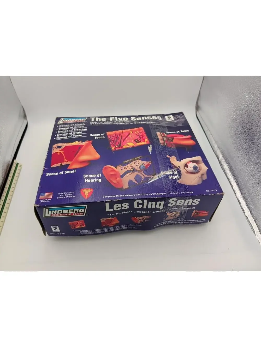 LINDBERG SCIENCE KITS The Five Senses Touch Smell‎ Hearing Sight Taste MODEL KIT